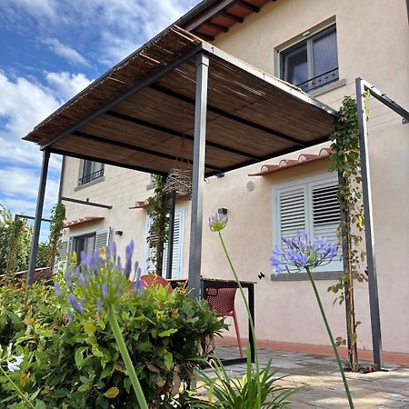 Apartamento Eri Tra Gli Ulivi Loro Ciuffenna Exterior foto